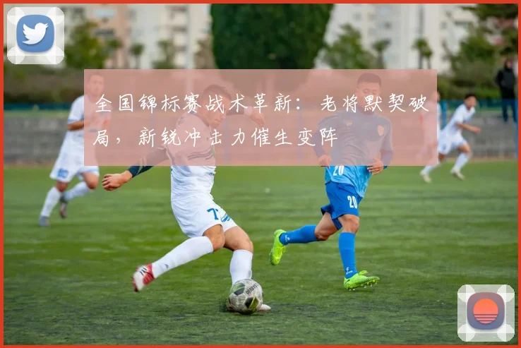 全国锦标赛战术革新：老将默契破局，新锐冲击力催生变阵