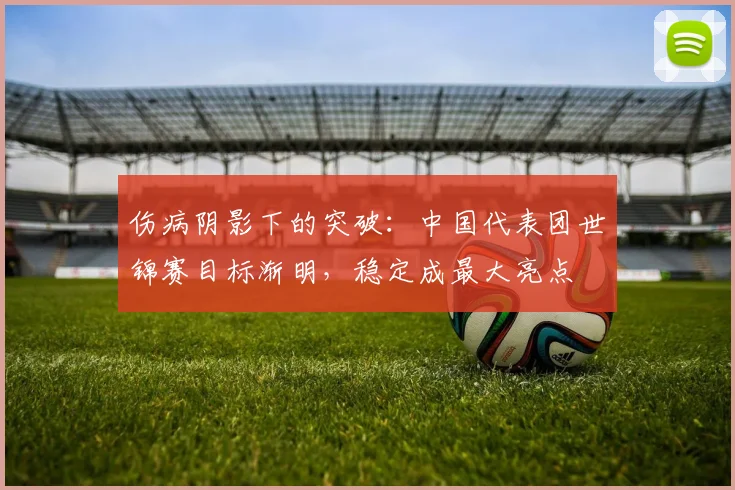 伤病阴影下的突破：中国代表团世锦赛目标渐明，稳定成最大亮点
