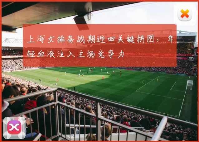 上海女排备战期迎回关键拼图，年轻血液注入主场竞争力